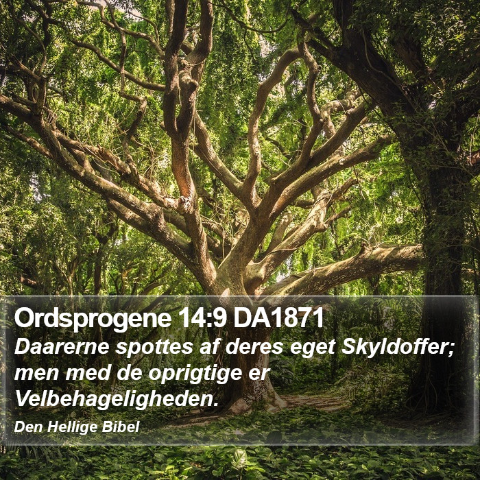 Ordsprogene 14:9 DA1871 Bible Study