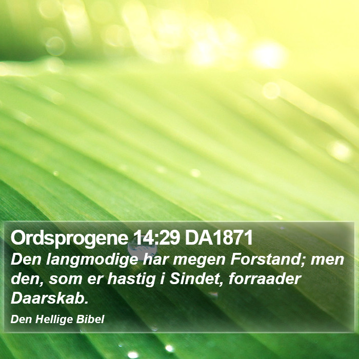 Ordsprogene 14:29 DA1871 Bible Study