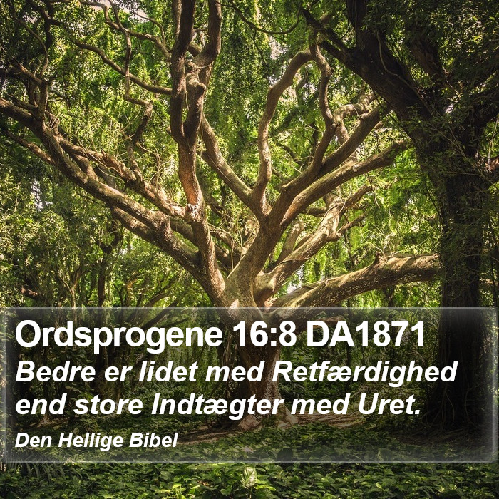 Ordsprogene 16:8 DA1871 Bible Study