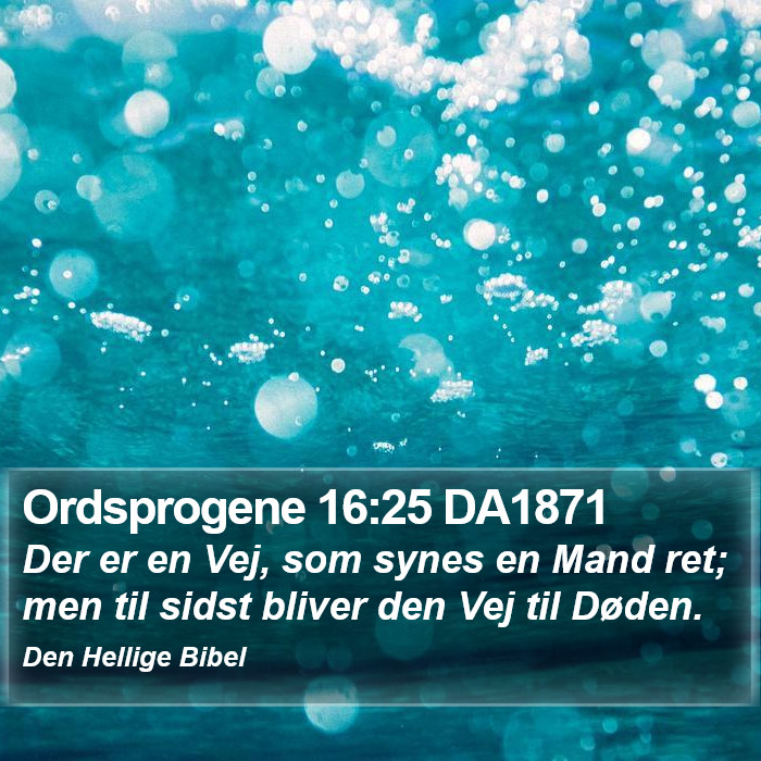 Ordsprogene 16:25 DA1871 Bible Study