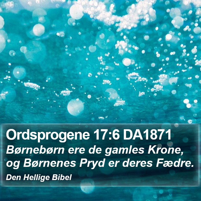 Ordsprogene 17:6 DA1871 Bible Study