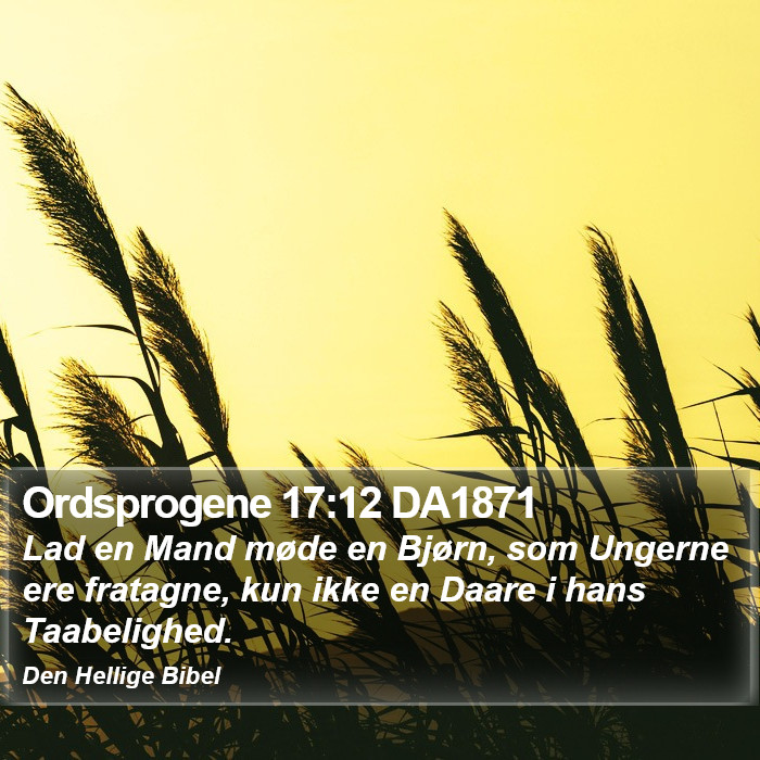 Ordsprogene 17:12 DA1871 Bible Study