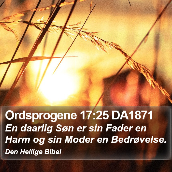 Ordsprogene 17:25 DA1871 Bible Study