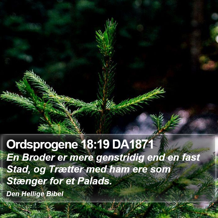 Ordsprogene 18:19 DA1871 Bible Study