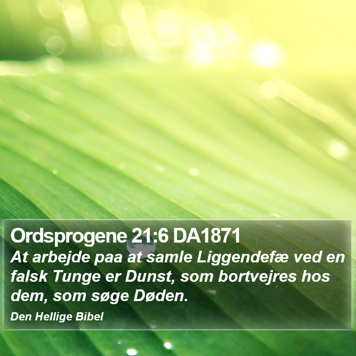 Ordsprogene 21:6 DA1871 Bible Study