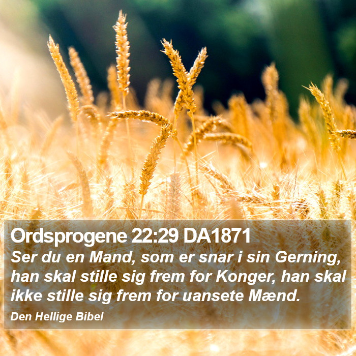 Ordsprogene 22:29 DA1871 Bible Study