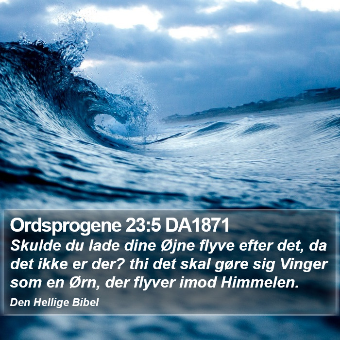 Ordsprogene 23:5 DA1871 Bible Study