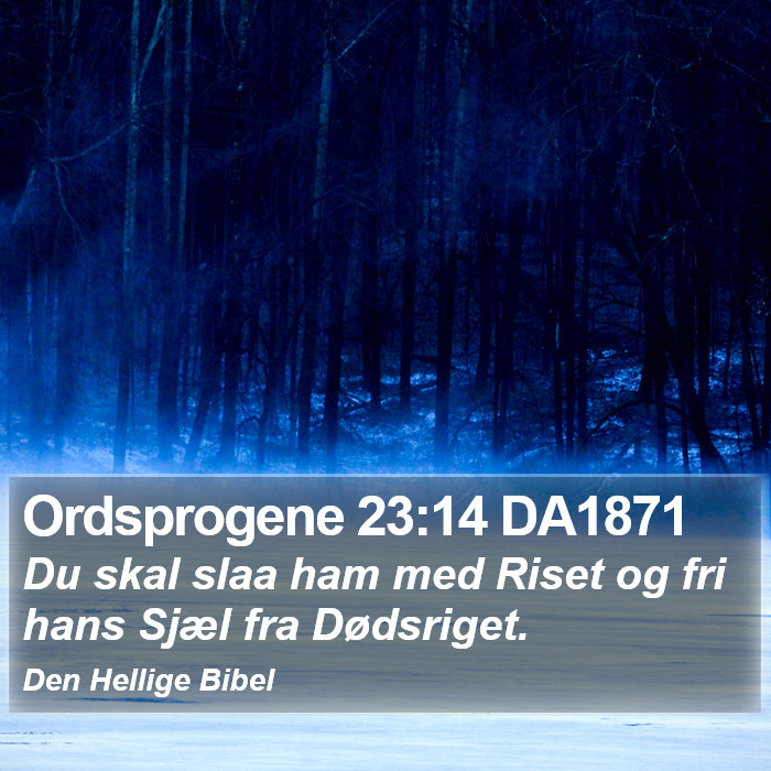 Ordsprogene 23:14 DA1871 Bible Study