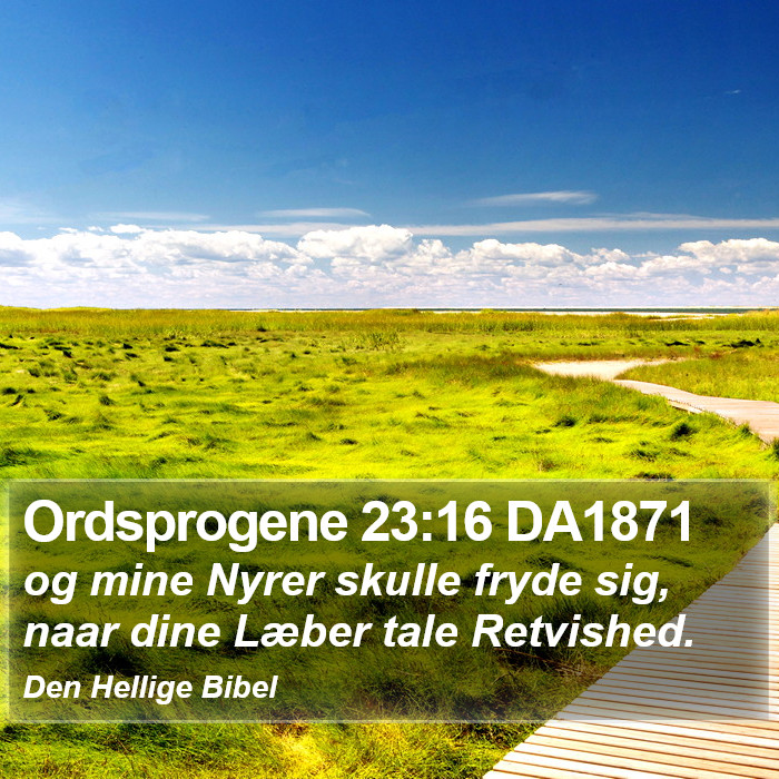 Ordsprogene 23:16 DA1871 Bible Study