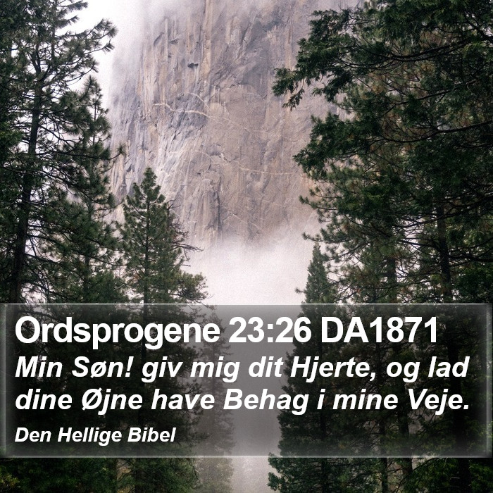 Ordsprogene 23:26 DA1871 Bible Study