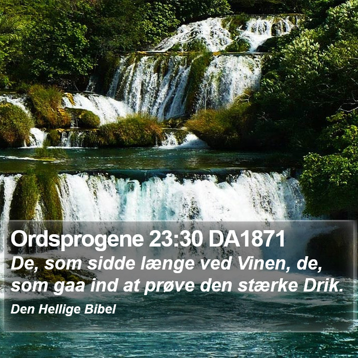 Ordsprogene 23:30 DA1871 Bible Study