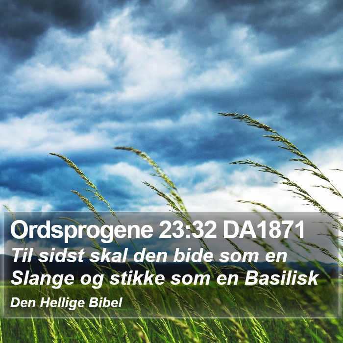 Ordsprogene 23:32 DA1871 Bible Study