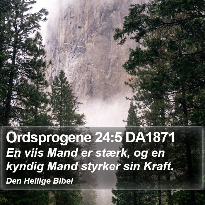 Ordsprogene 24:5 DA1871 Bible Study