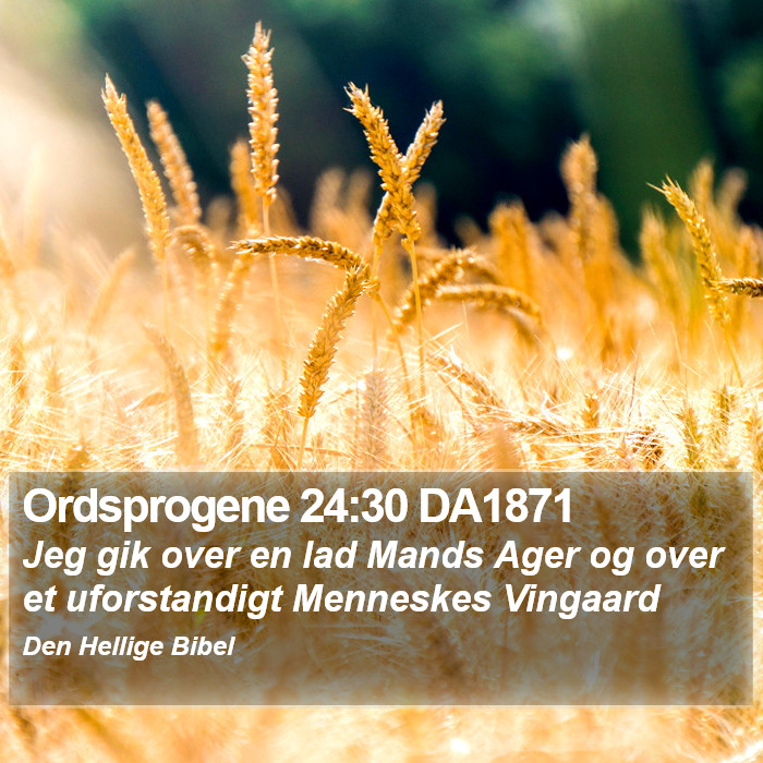 Ordsprogene 24:30 DA1871 Bible Study