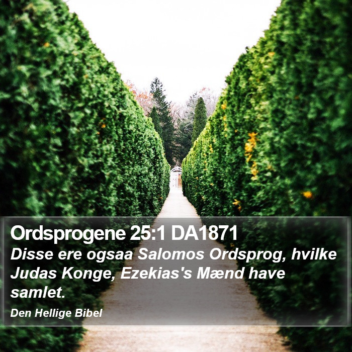 Ordsprogene 25:1 DA1871 Bible Study