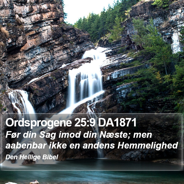 Ordsprogene 25:9 DA1871 Bible Study