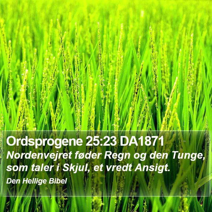Ordsprogene 25:23 DA1871 Bible Study