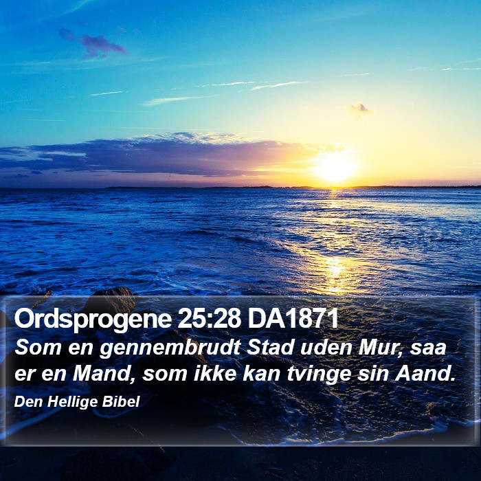 Ordsprogene 25:28 DA1871 Bible Study