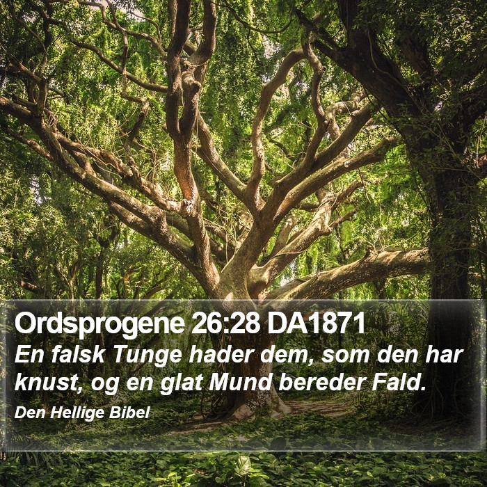 Ordsprogene 26:28 DA1871 Bible Study