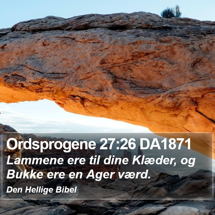 Ordsprogene 27:26 DA1871 Bible Study