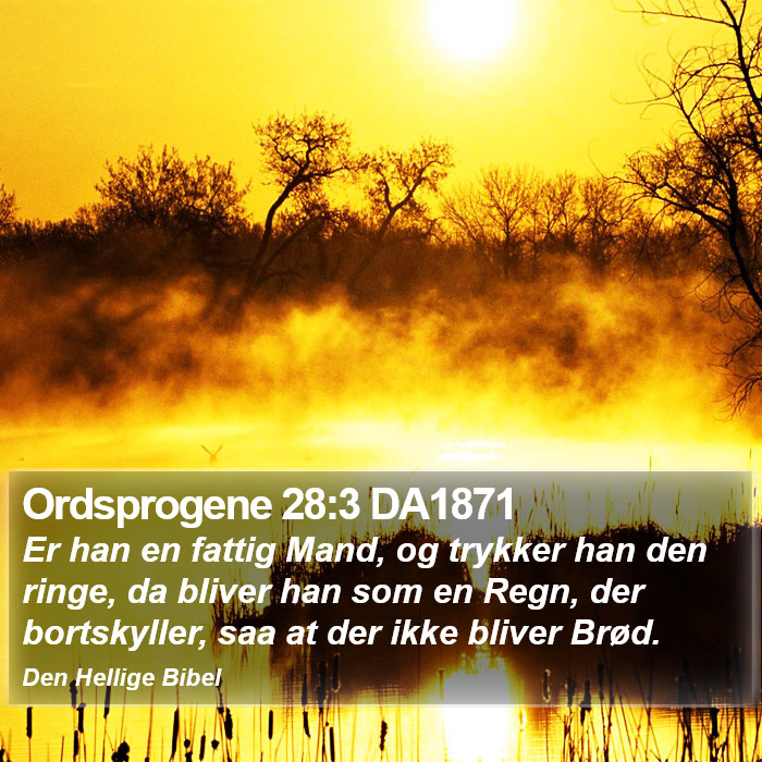 Ordsprogene 28:3 DA1871 Bible Study