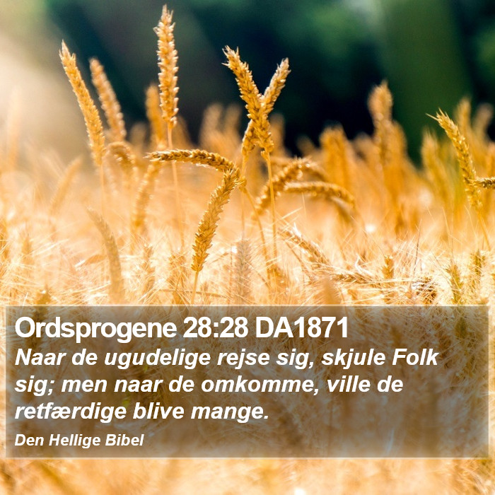 Ordsprogene 28:28 DA1871 Bible Study