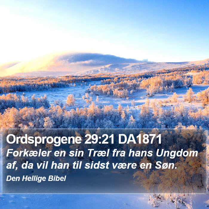 Ordsprogene 29:21 DA1871 Bible Study