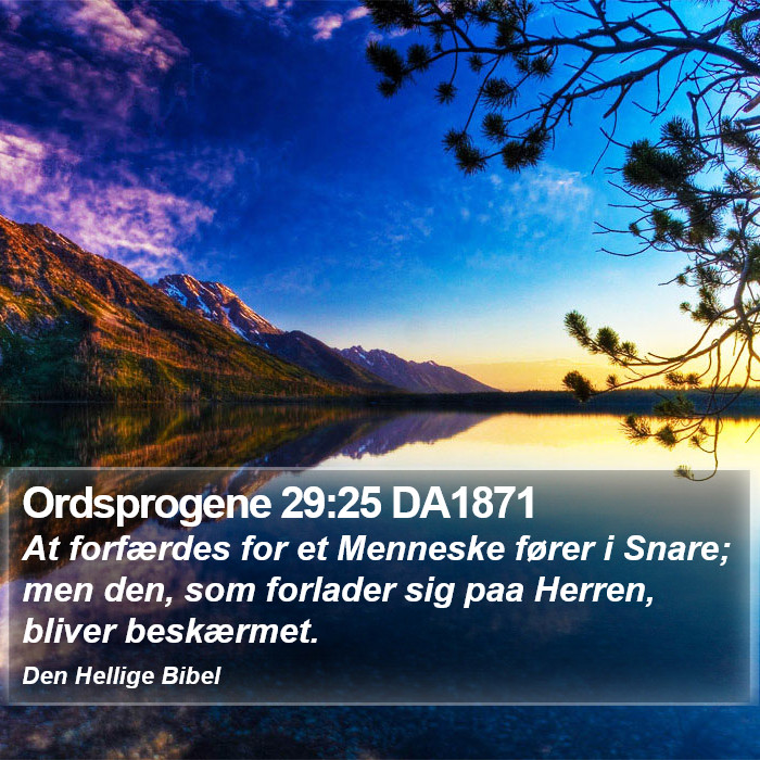 Ordsprogene 29:25 DA1871 Bible Study