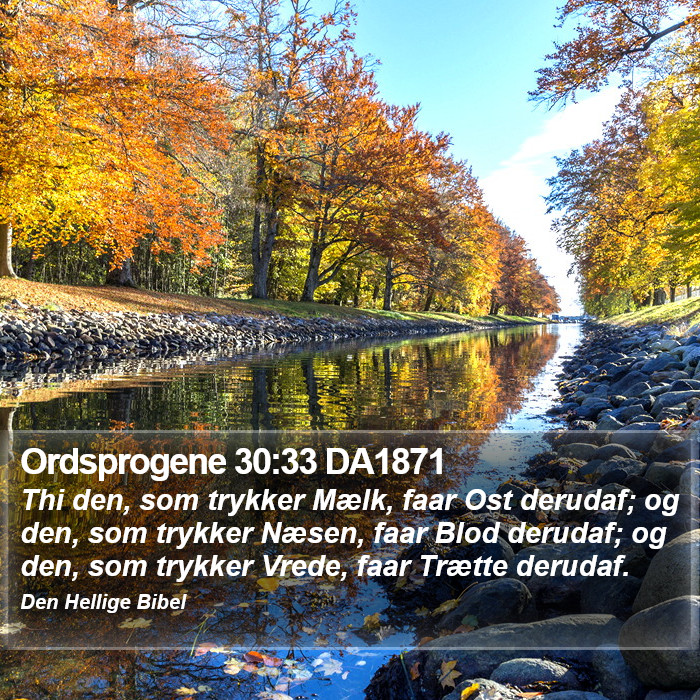 Ordsprogene 30:33 DA1871 Bible Study