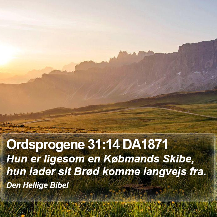 Ordsprogene 31:14 DA1871 Bible Study