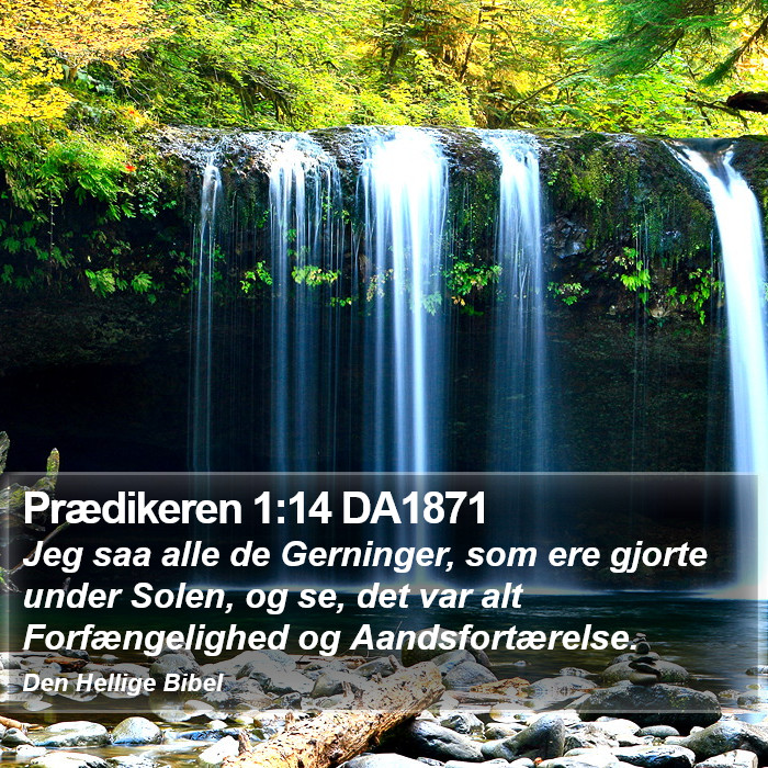 Prædikeren 1:14 DA1871 Bible Study