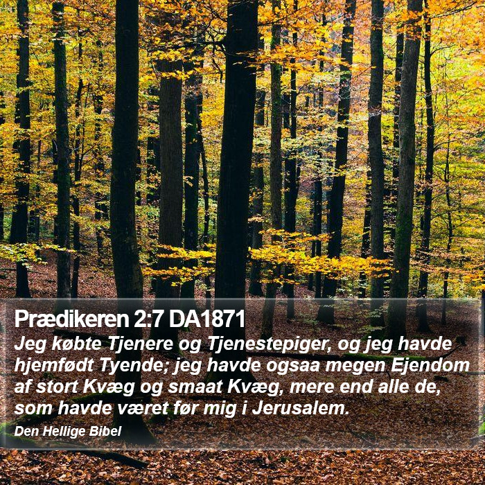 Prædikeren 2:7 DA1871 Bible Study