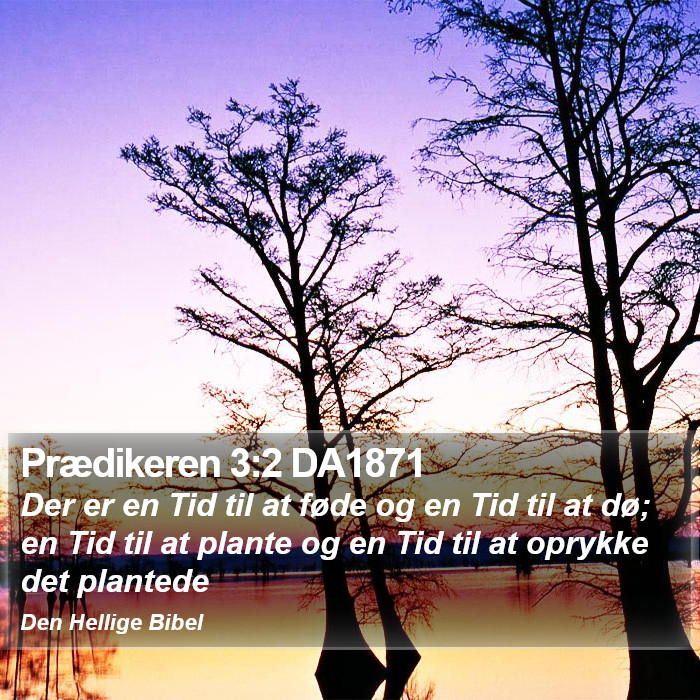 Prædikeren 3:2 DA1871 Bible Study