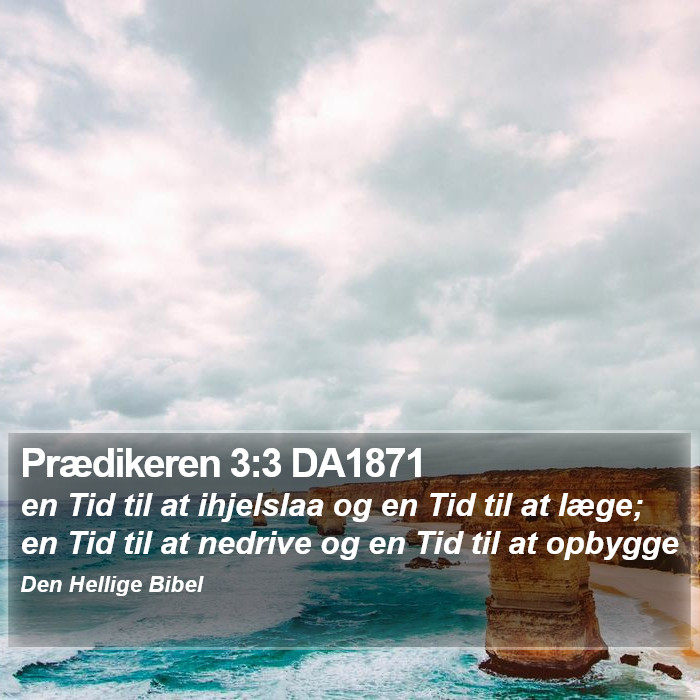 Prædikeren 3:3 DA1871 Bible Study