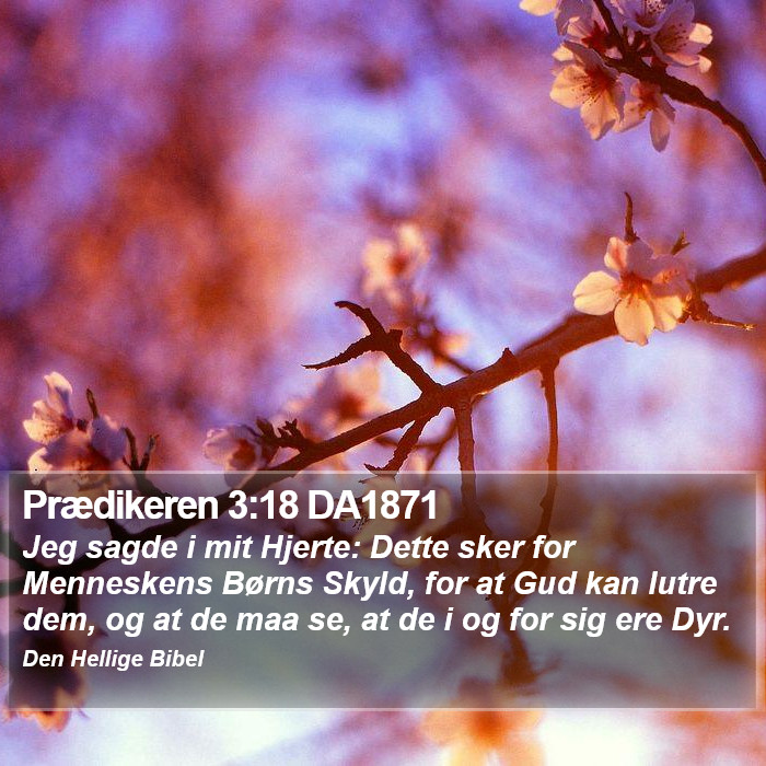 Prædikeren 3:18 DA1871 Bible Study