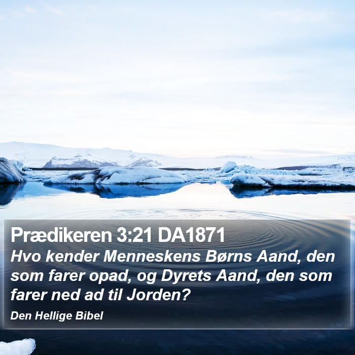 Prædikeren 3:21 DA1871 Bible Study