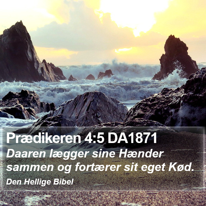 Prædikeren 4:5 DA1871 Bible Study