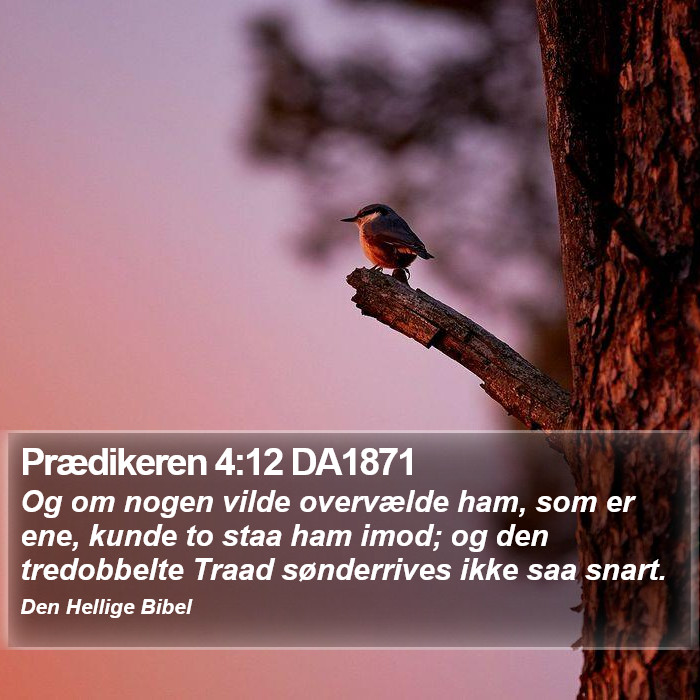 Prædikeren 4:12 DA1871 Bible Study