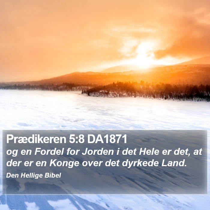 Prædikeren 5:8 DA1871 Bible Study