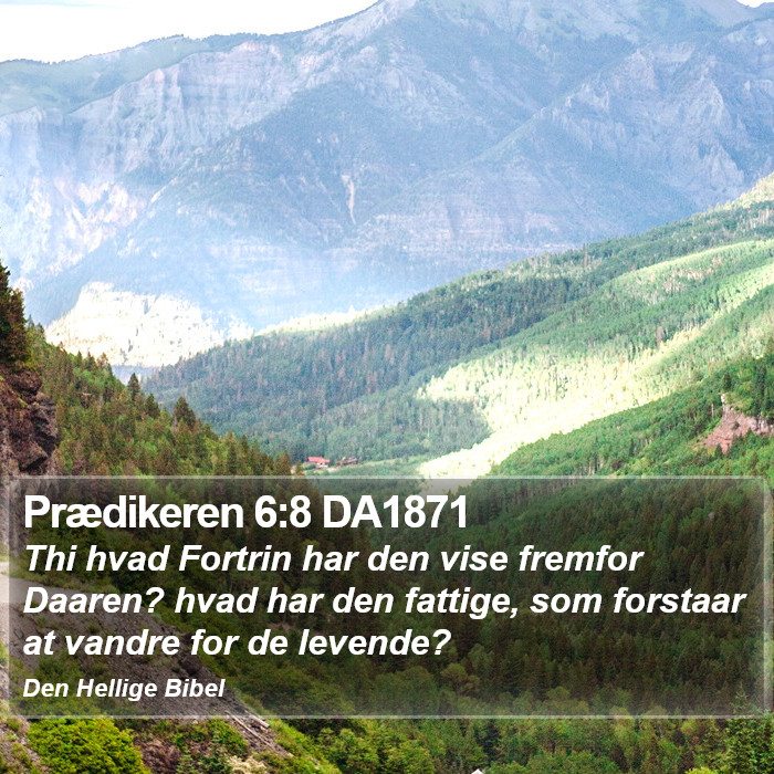 Prædikeren 6:8 DA1871 Bible Study