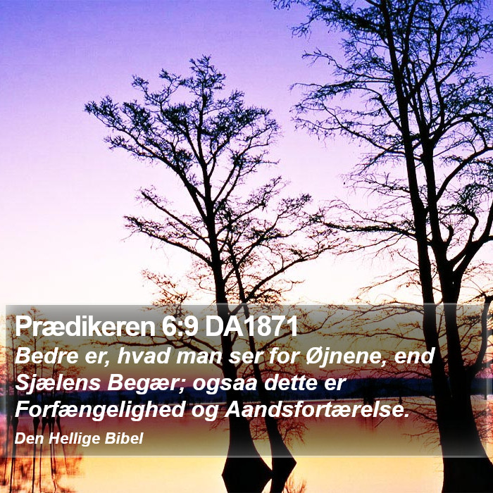 Prædikeren 6:9 DA1871 Bible Study