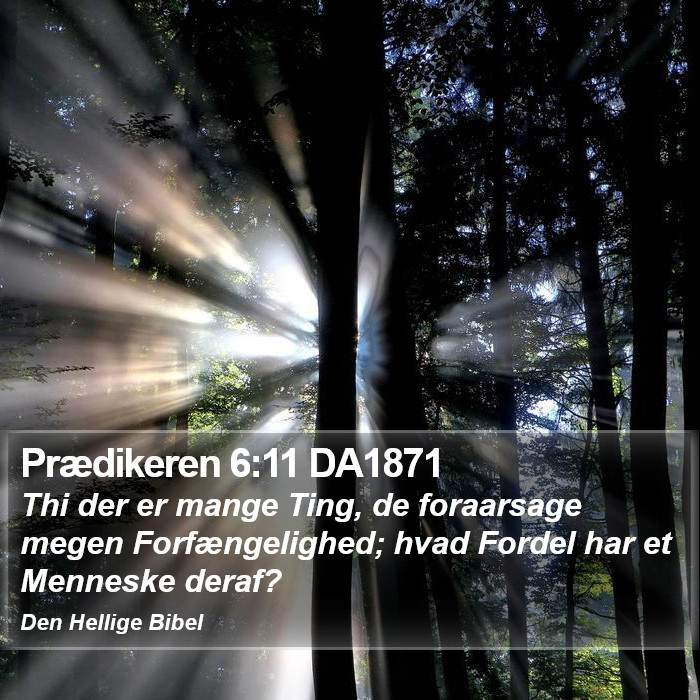 Prædikeren 6:11 DA1871 Bible Study