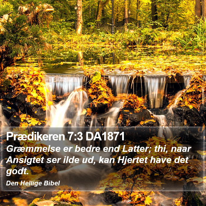 Prædikeren 7:3 DA1871 Bible Study