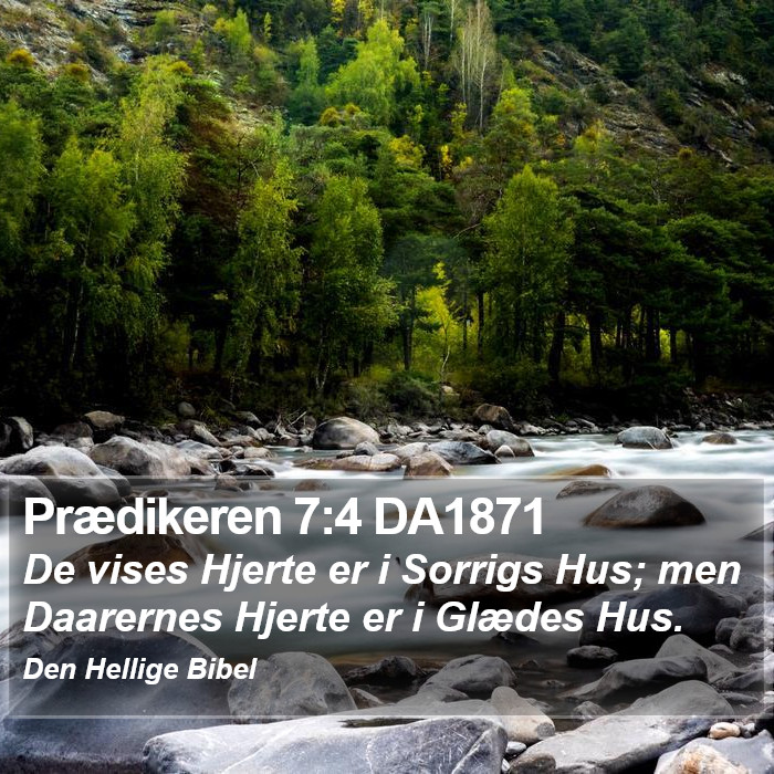 Prædikeren 7:4 DA1871 Bible Study