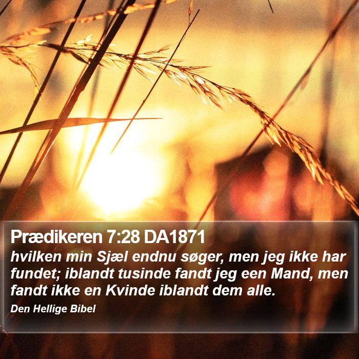 Prædikeren 7:28 DA1871 Bible Study