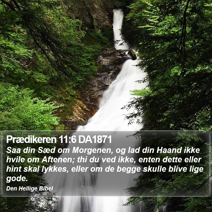 Prædikeren 11:6 DA1871 Bible Study