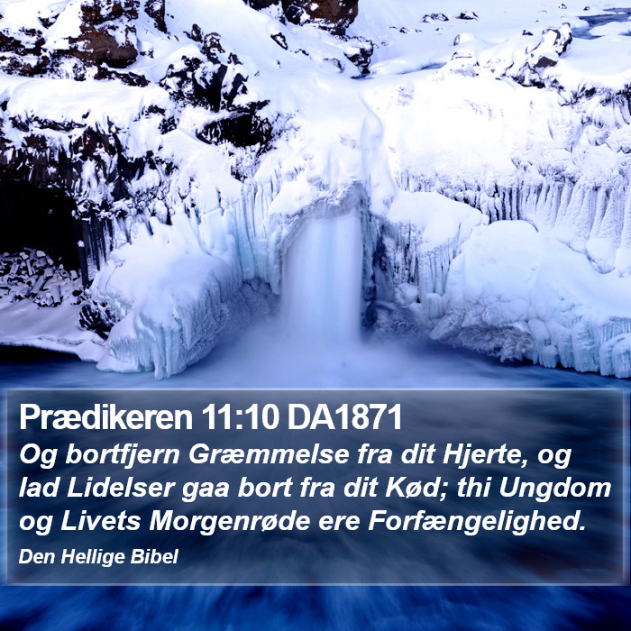 Prædikeren 11:10 DA1871 Bible Study