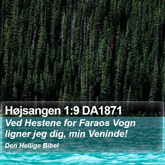 Højsangen 1:9 DA1871 Bible Study