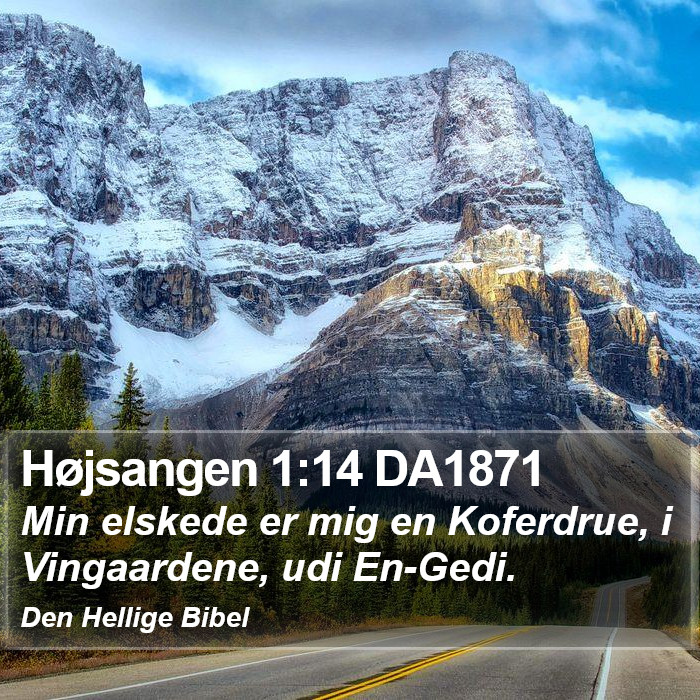 Højsangen 1:14 DA1871 Bible Study