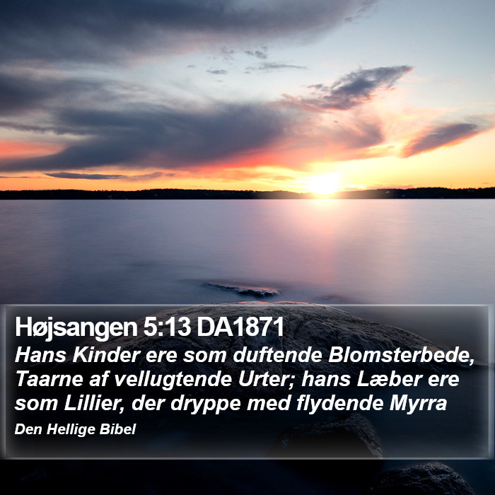 Højsangen 5:13 DA1871 Bible Study